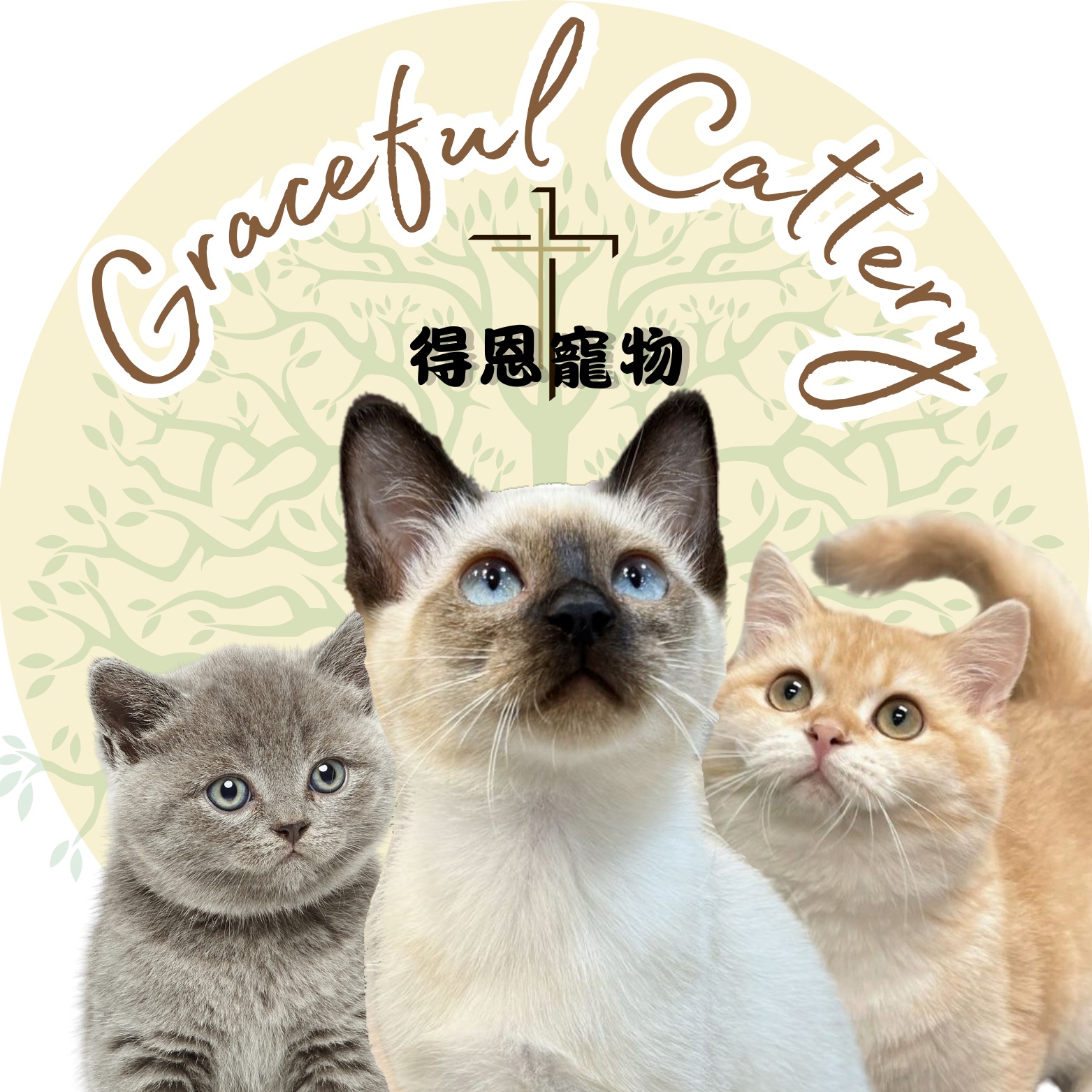 客戶圖片
